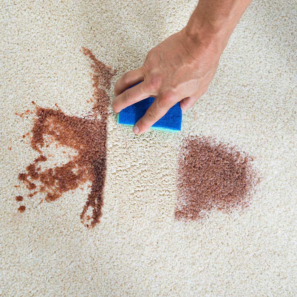 Carpet Magic (500ml)