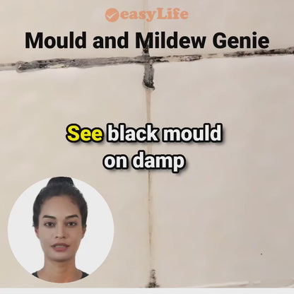 Mould and Mildew Genie